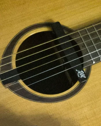 Acoustic Guitar DFP-System